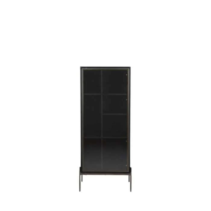 Amaro 1 Door Cabinet with Lights Black Oak