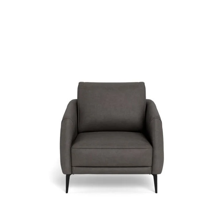 Aspen Armchair in Leather