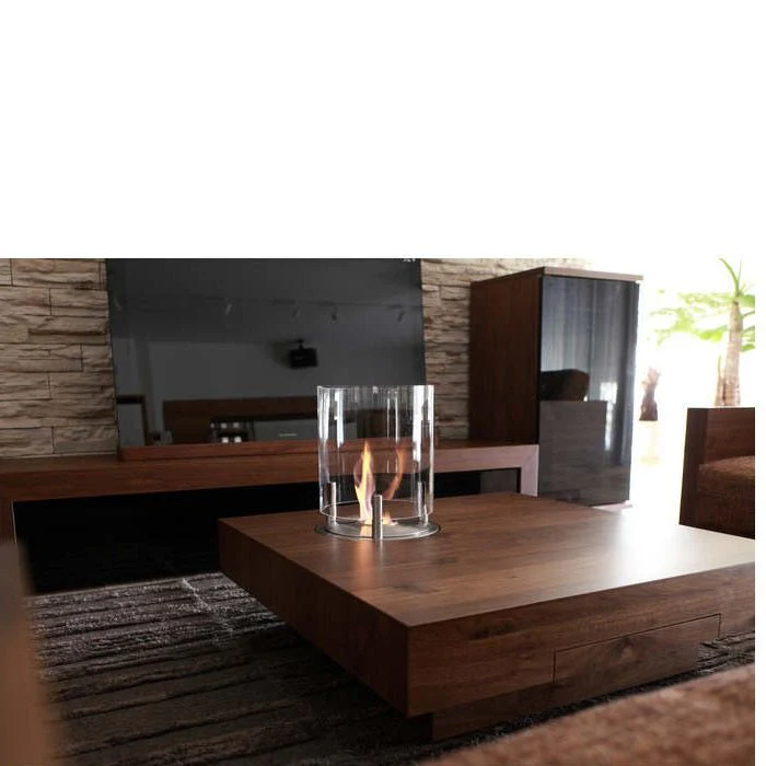Ecosmart Burner: AB3 - Image 3