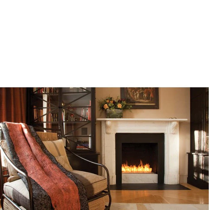 Ecosmart Burner: XL700 - Image 3