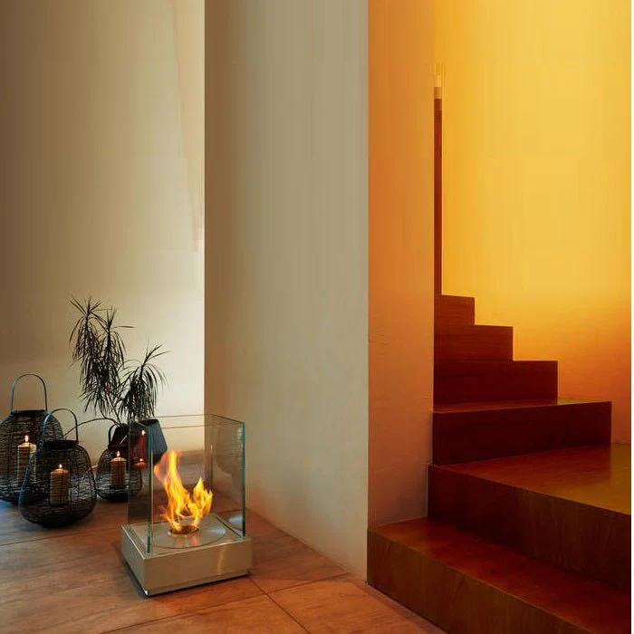 Ecosmart Fire: Mini T + AB3 Burner - Image 2