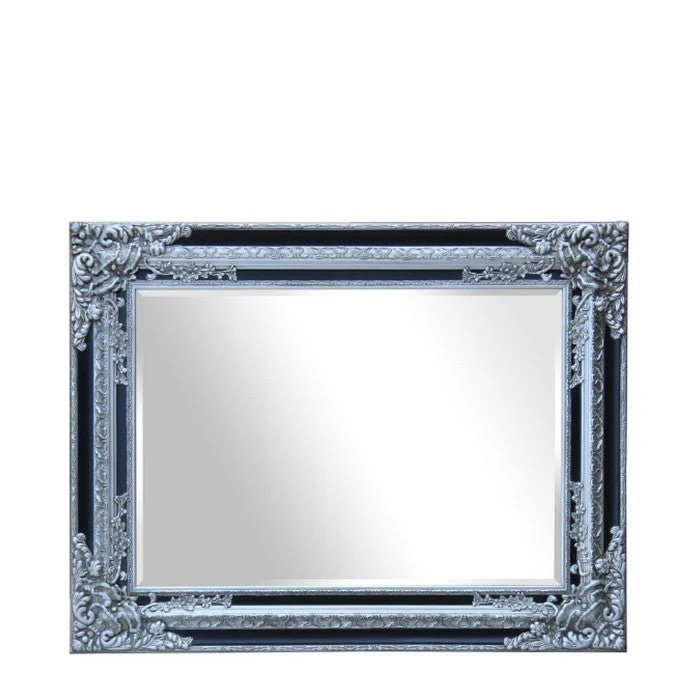 F22 Grenoble Mirror