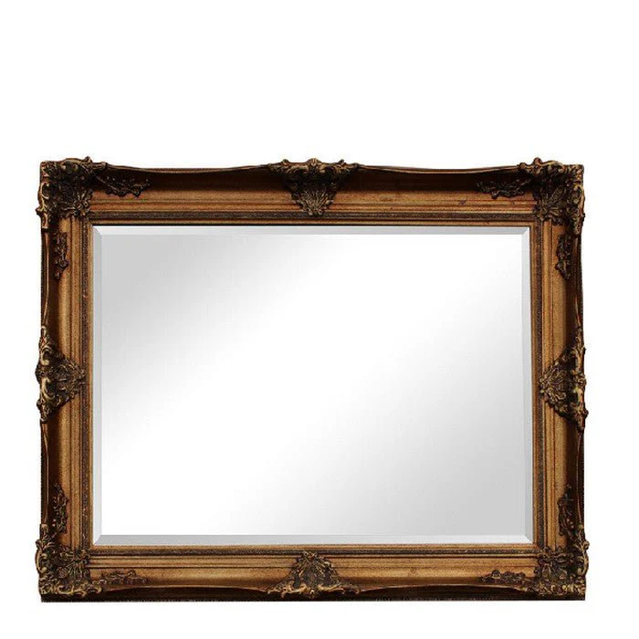 F23 Orléans Mirror
