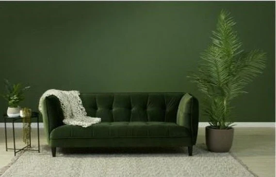 Jonna 2.5 Seater Sofa - iconic style - Image 3
