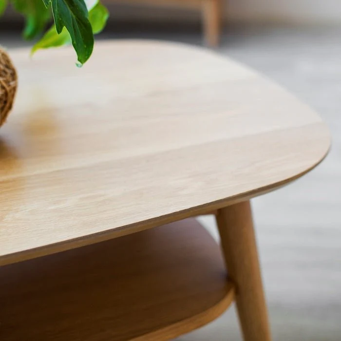 Oslo Coffee Table with Shelf - Image 4