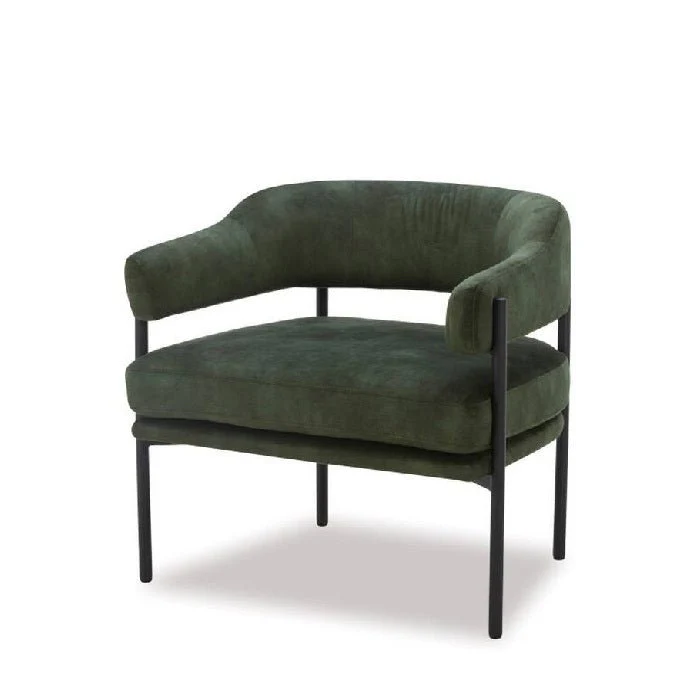 Skyline Armchair - Velvet and Leather choices - Image 5