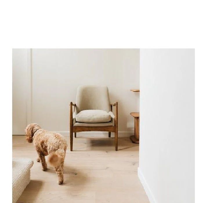 Steiner Armchair - Canvas - Image 10