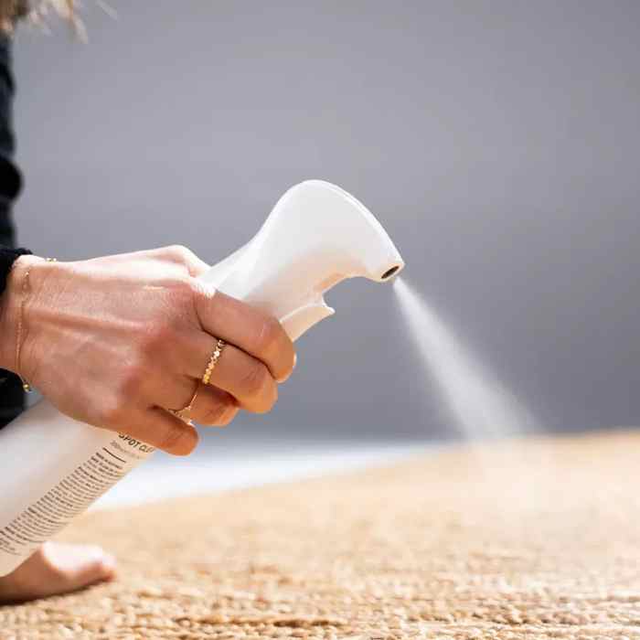 Warwick's Unmarkable Textile & Rug Spot Cleaner - Image 2